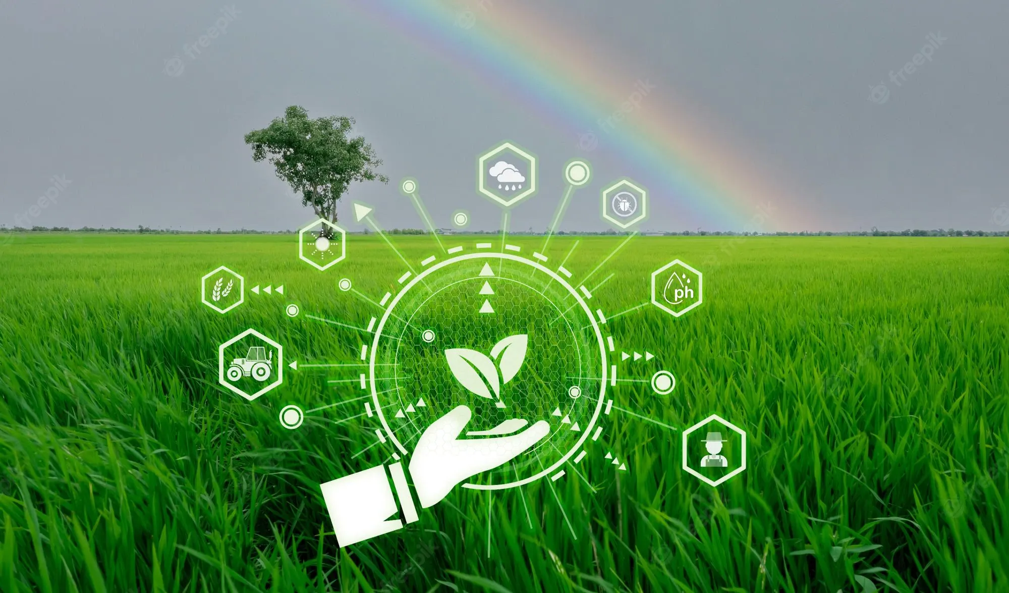 Connected farming: Short guide for agribusinesses